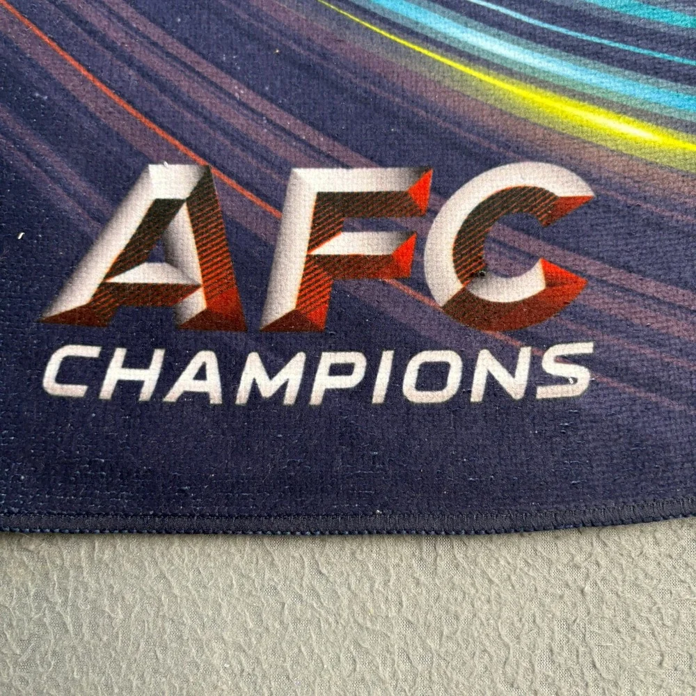 WinCraft NFL New England Patriots Super Bowl LI AFC Champions Bench Towel 22x42